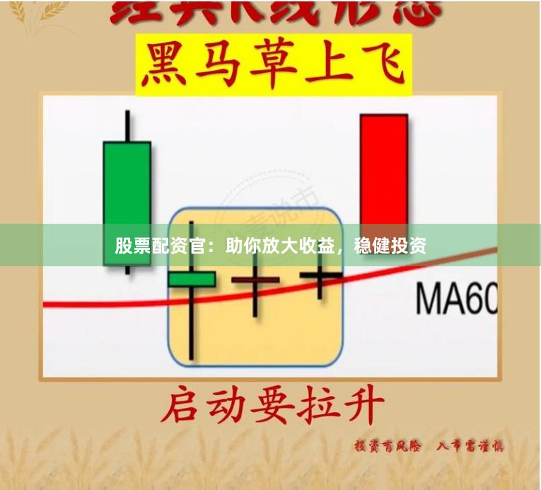 股票配资官：助你放大收益，稳健投资