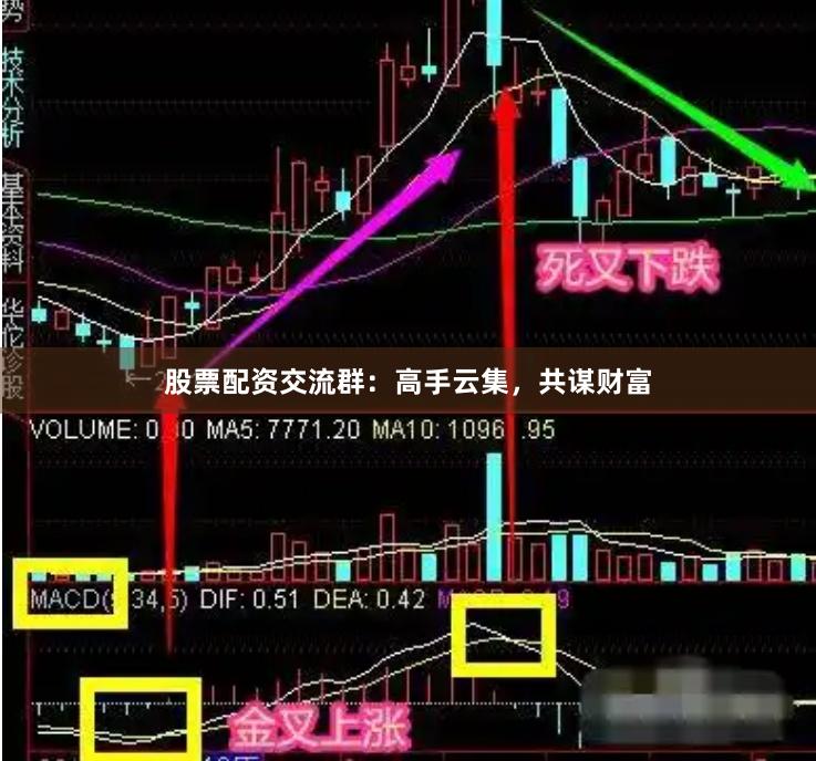 股票配资交流群：高手云集，共谋财富