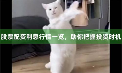 股票配资利息行情一览，助你把握投资时机