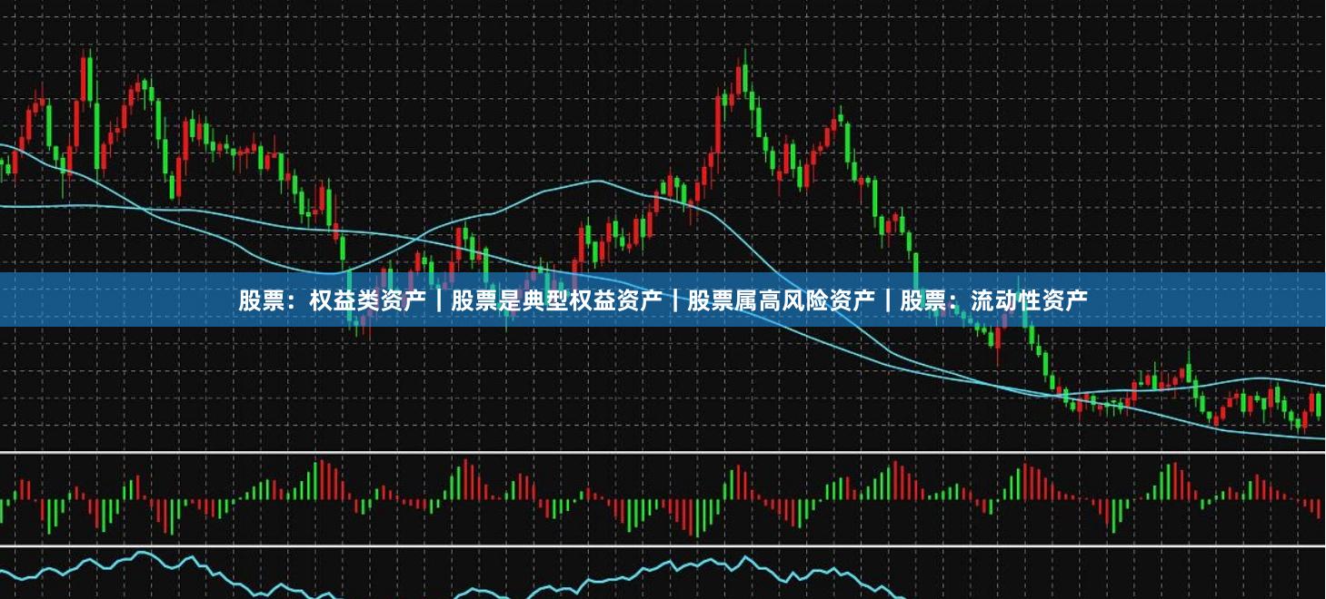 股票：权益类资产｜股票是典型权益资产｜股票属高风险资产｜股票：流动性资产