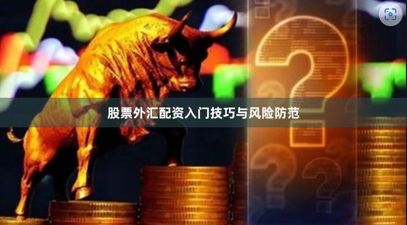 股票外汇配资入门技巧与风险防范