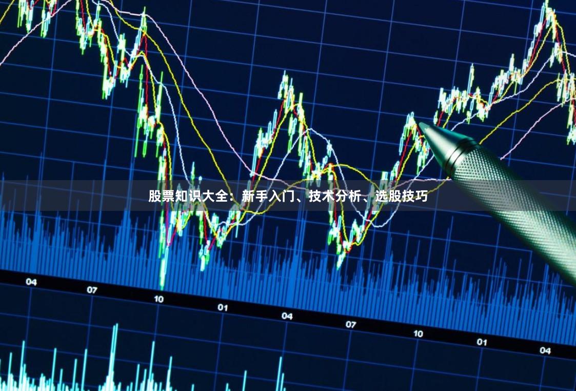股票知识大全：新手入门、技术分析、选股技巧